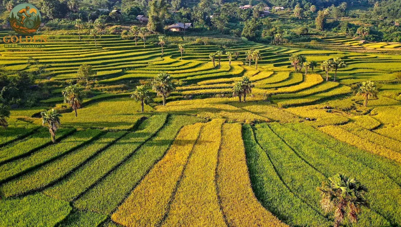 3-Day Thai Nguyen Backroad Cycling Tour: Ban Ten, Tea Hills & Nui Coc